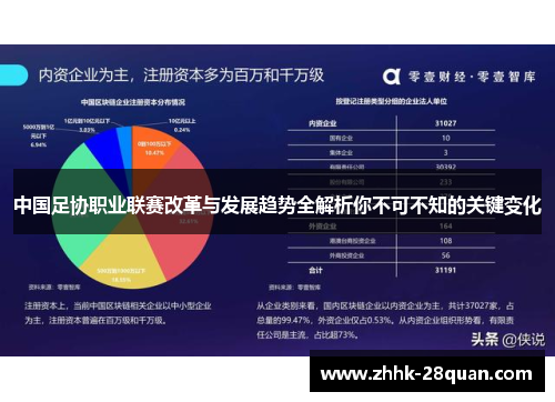 中国足协职业联赛改革与发展趋势全解析你不可不知的关键变化