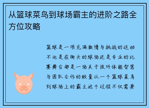 从篮球菜鸟到球场霸主的进阶之路全方位攻略